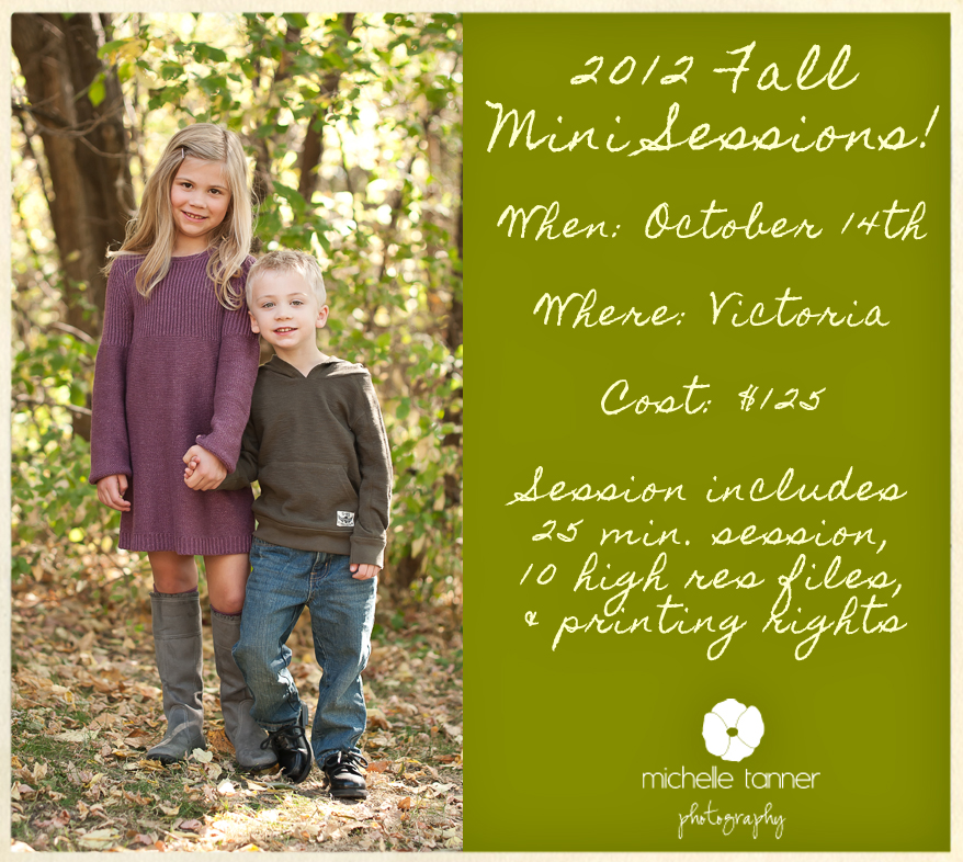 Minneapolis Family Photographer Announces 2012 Fall Mini Sessions